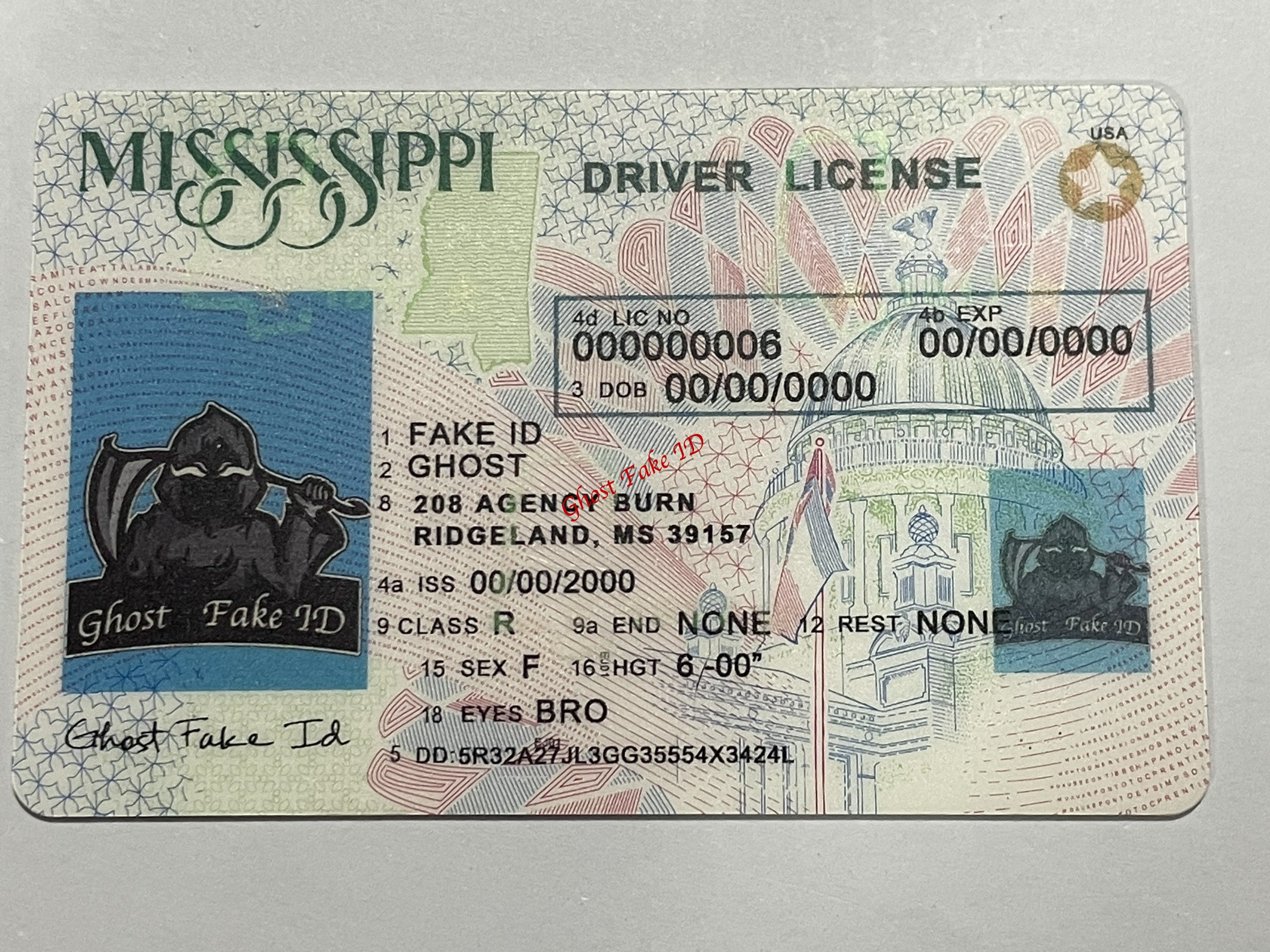 Mississippi - Scanable fake id